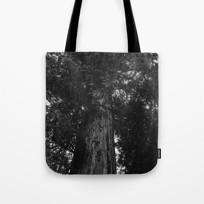 Sequoia National Park IV Tote Bag