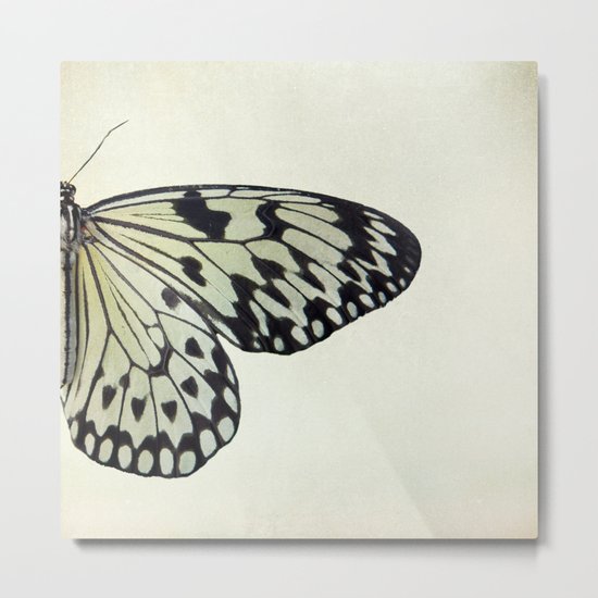 Two Tone Metal Print