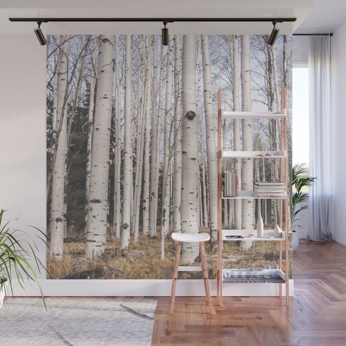 Trees of Reason - Birch Forest Wall Mural