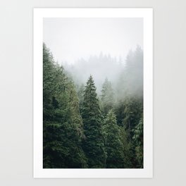 Vancouver, Canada⎪Misty foggy green pine tree forest mountain panorama in Capilano suspension bridge Art Print