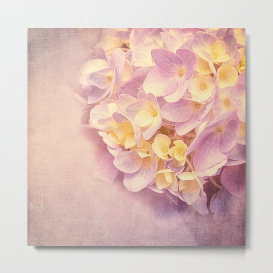 HYDRANGEA VINTAGE Metal Print