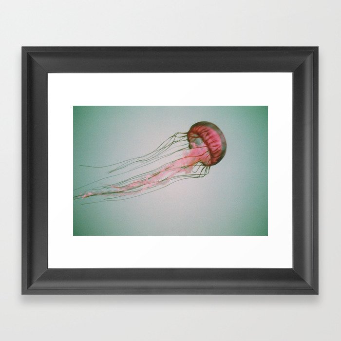 Jellyfish Framed Art Print