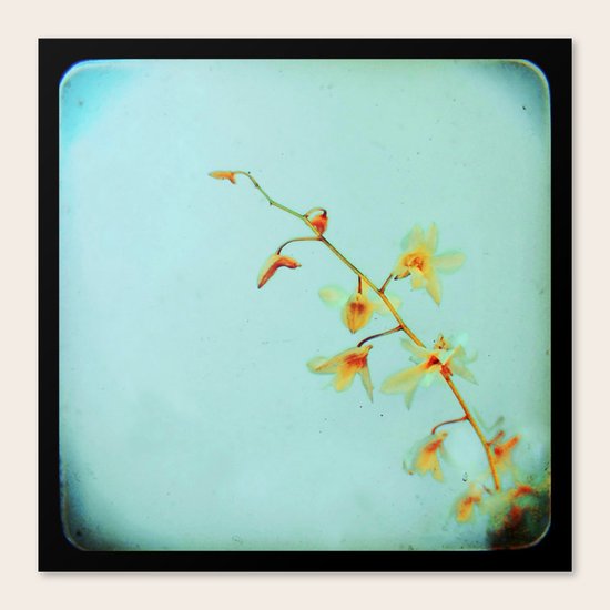 Baby Blue Canvas Print
