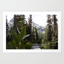 Into the Wild while in Whistler Canada Art Print