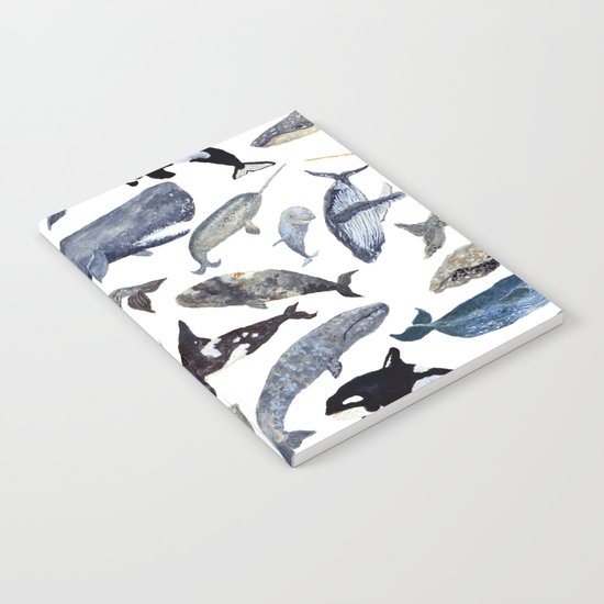Whale Song Notebook