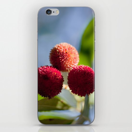 Strawberry tree fruits 8697 iPhone & iPod Skin