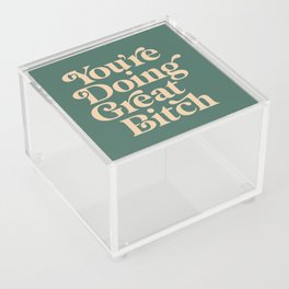 YOU’RE DOING GREAT BITCH vintage green cream Acrylic Box