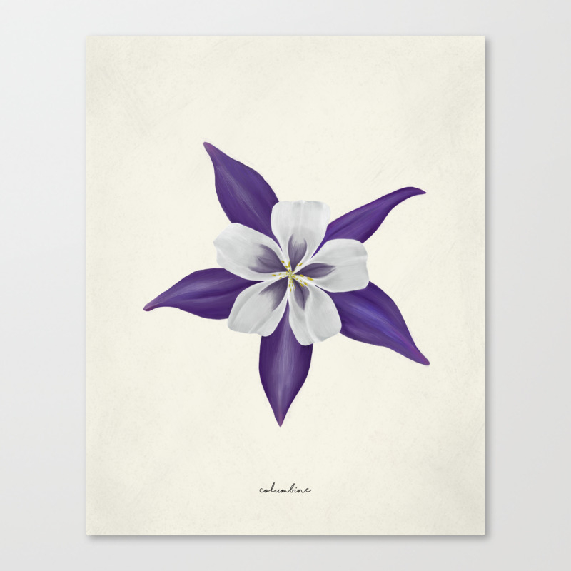 Colorado State Flower Columbine Canvas Print By Everydaysummit Society6 Download this free vector about flower garden wreath with poppy, tulip, columbine flower watercolor illustration., and discover more than 12 million professional graphic resources on freepik. colorado state flower columbine canvas print by everydaysummit