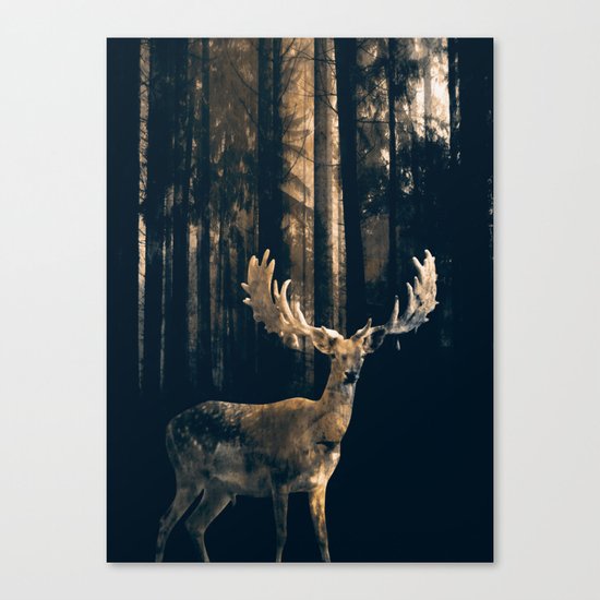 Deer in the dark forest Canvas Print