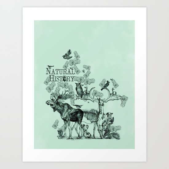 Natural History Art Print
