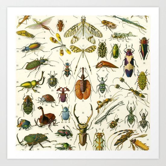 Bugs Art Print