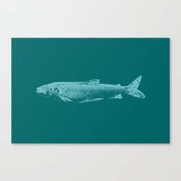 Lake trout Canvas Print