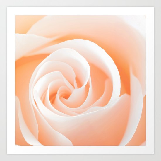 Rose´s heart I- Beautiful roses flower in pink Art Print