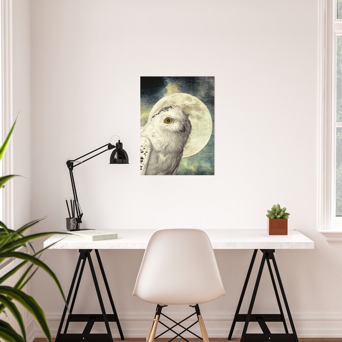 White Snowy Owl Bird Moon Blue Home Decor Wildlife Art Matted Picture Usa A369 Home Garden Posters Prints 42jours Ch
