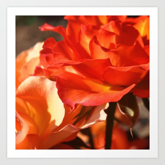 Autumn Art Print