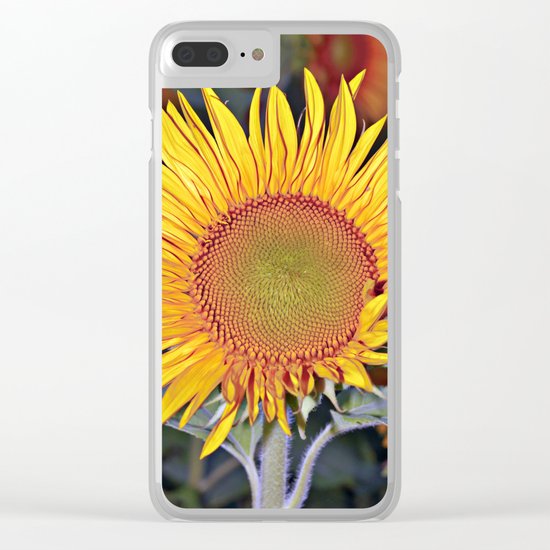 Floating SUN Clear iPhone Case