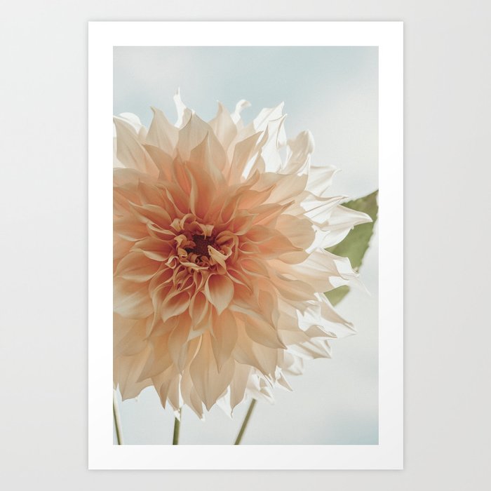 Oh, Hello x happy pink dahlia flower photograph Art Print