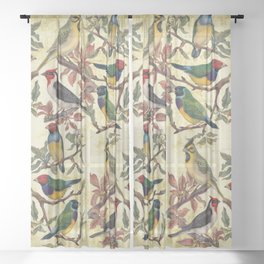 Vintage Birds Sheer Curtain