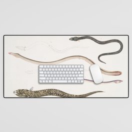 Bora Ophisurus & Harancha Ophisurus Desk Mat