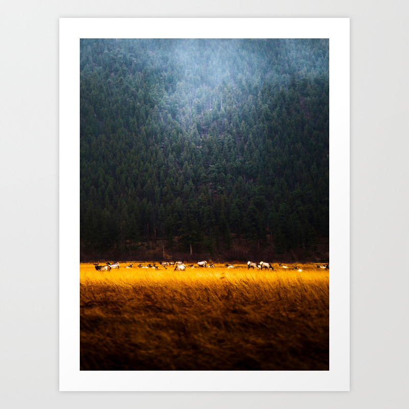 Beautiful Yellow Tall Grass With Mountain Pine Trees In Background Majestic Landscape Art Print By Enshape Society6