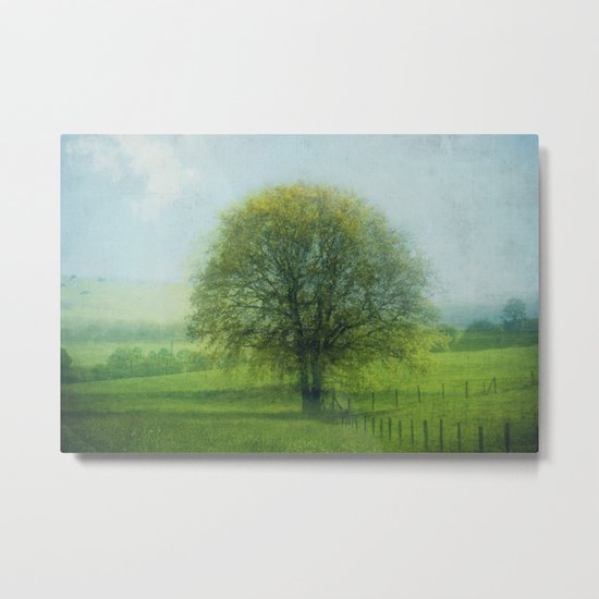 15 x oak Metal Print