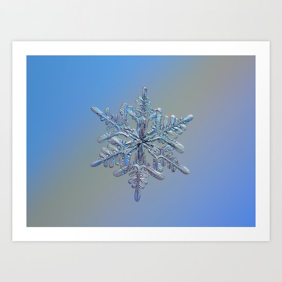 Real snowflake macro photo - 13.02.17 1 Art Print