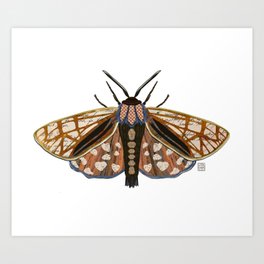 Moth - Mixed Media Digital Collage Art Print