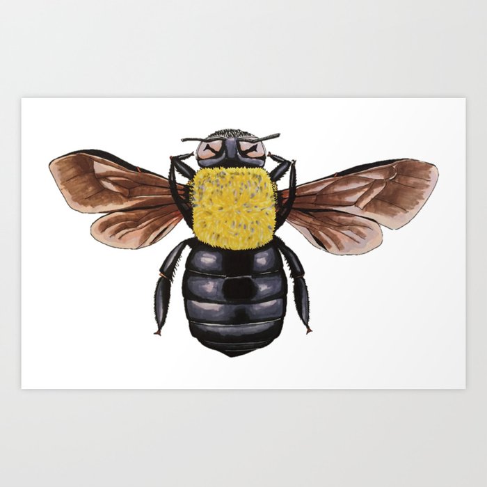 The Carpenter Bee Art Print