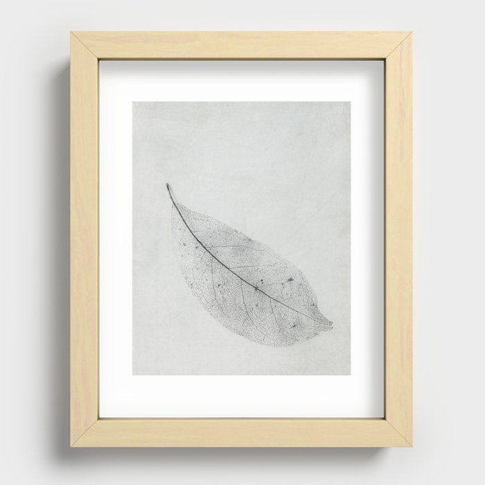 leaf skeleton on texture Recessed Framed Print