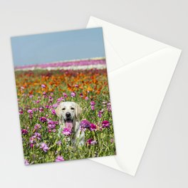 Golden Retriever Field Flowers  Stationery Card