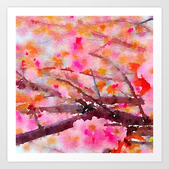 cherry blossom Art Print