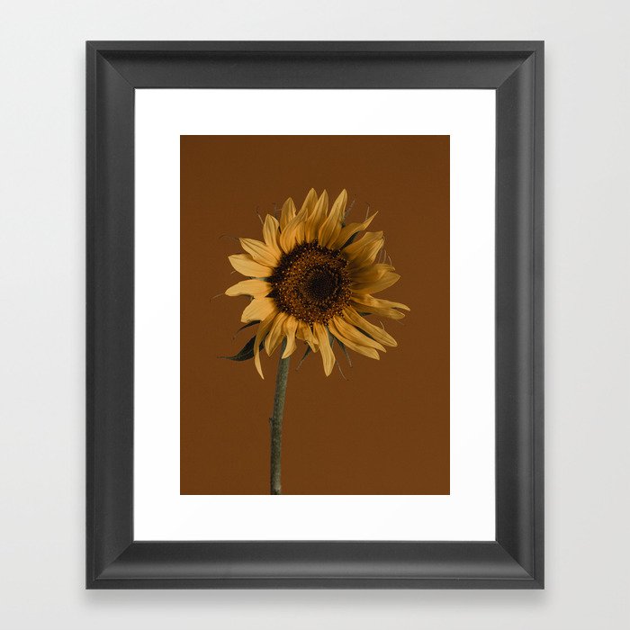 Sunflower on Brown Framed Art Print