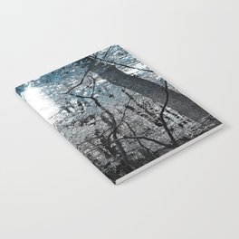 Ice and Light Combined Notebook