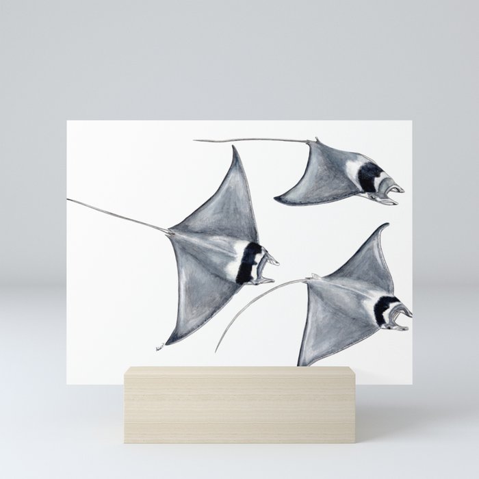 Devil fish Manta ray Mobula mobular Mini Art Print