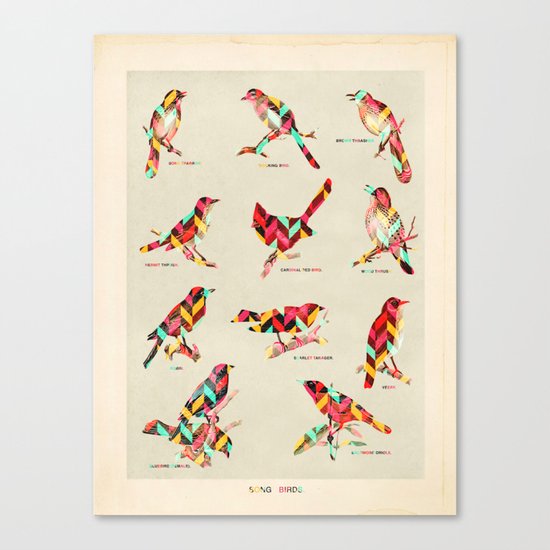 Song Birds Canvas Print