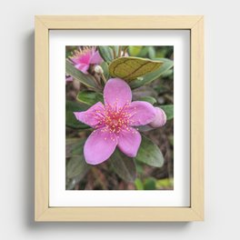 Hong Kong Flower Recessed Framed Print
