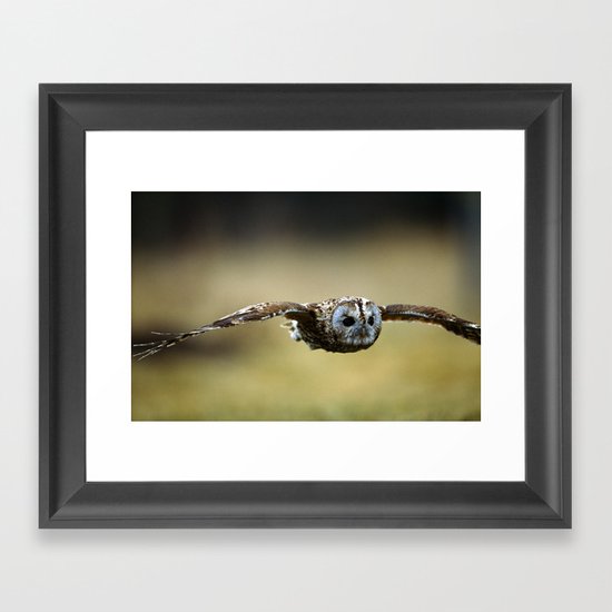 FLIGHT OF THE TAWNY OWL Framed Art Print