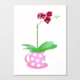 Orchid in Cup Canvas Print