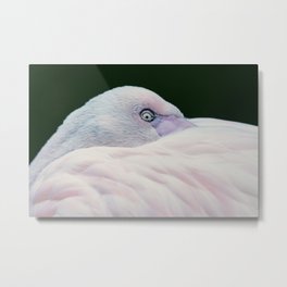 Awaken Metal Print