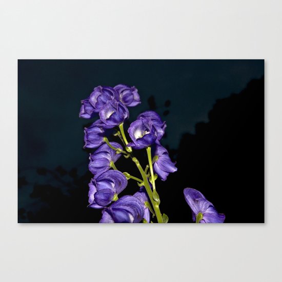 Dark Purple Elegance Canvas Print