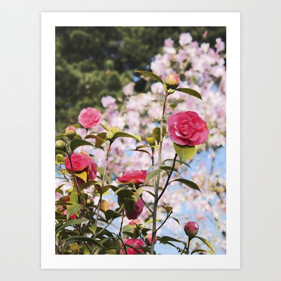 Up and coming Art Print