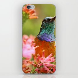 South Africa Photography - Colorful Bird Among  Colorful Flowers iPhone Skin