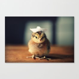 Chick Wearing A White Sailor Hat Canvas Print
