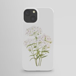 white sweet William  ink and watercolor painting iPhone Case