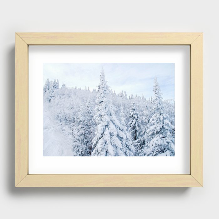Snow covered forest Recessed Framed Print