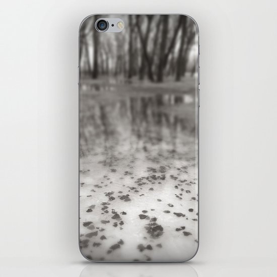 Frozen iPhone & iPod Skin