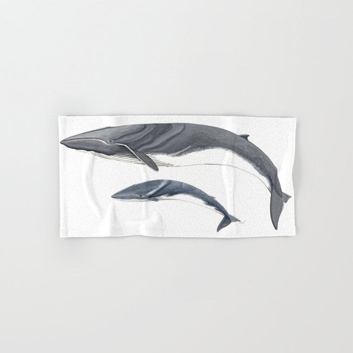 Fin whale Hand & Bath Towel