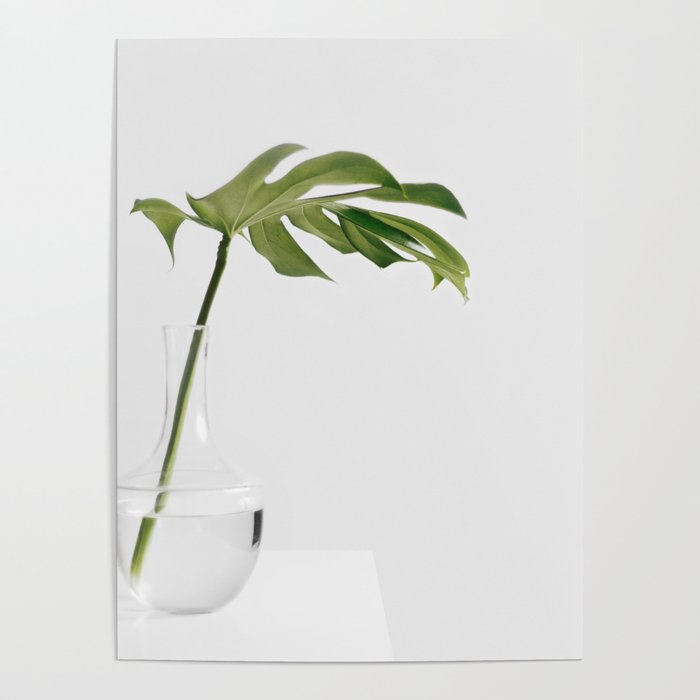 Single Monstera Leaf In Clear Glass Zen Minimalist House Plant Photo Poster