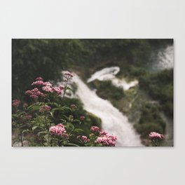 Waterfall Flowers Canvas Print