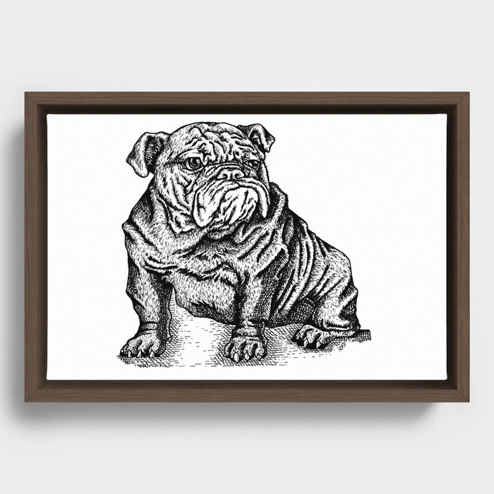 Sapphorica Creations- Philip the Bulldog Framed Canvas